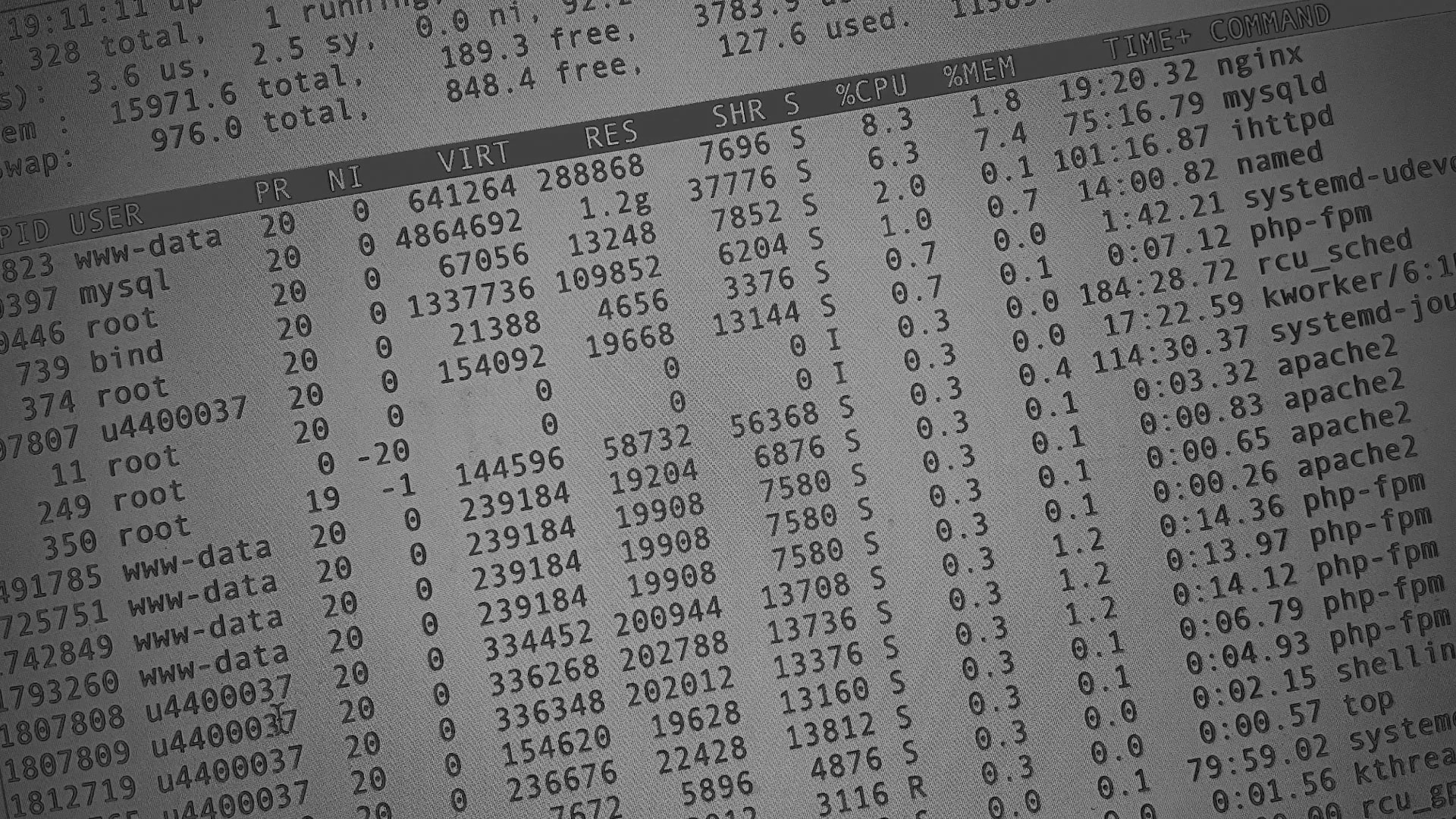 Настройка сервера в Томмоте